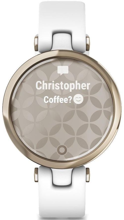 cumpără Ceas inteligent Garmin Lily™ (010-02384-10) în Chișinău 