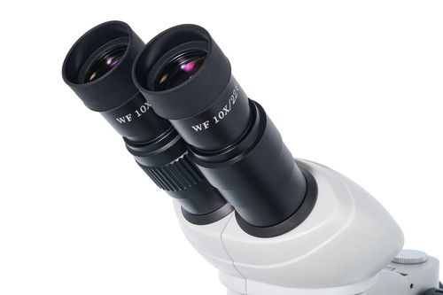 cumpără Microscop Levenhuk 4ST Binocular Microscope în Chișinău 
