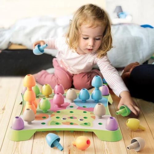 купить Головоломка Quercetti 2272 Jumbo Peggy Evo в Кишинёве 