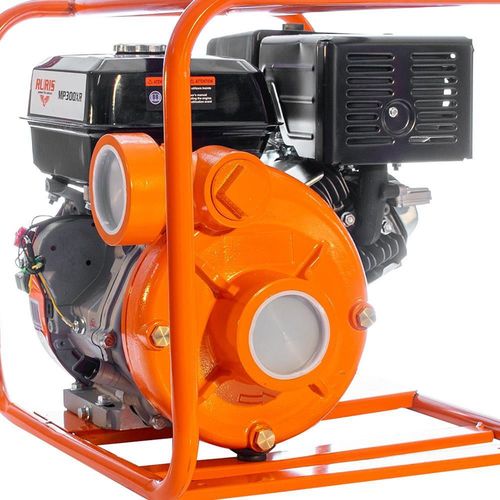 купить Насос Ruris MP300XR в Кишинёве 