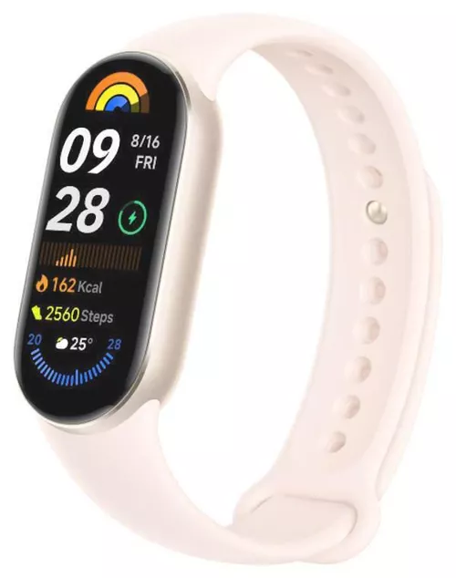 cumpără Fitness-tracker Xiaomi Smart Band 9 Titan în Chișinău 