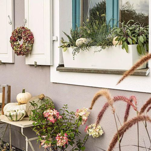 купить Цветочный горшок Lechuza Balconera Color 80, White в Кишинёве 