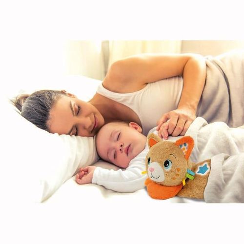 cumpără Jucărie de pluș Clementoni Pisica (17771) în Chișinău 