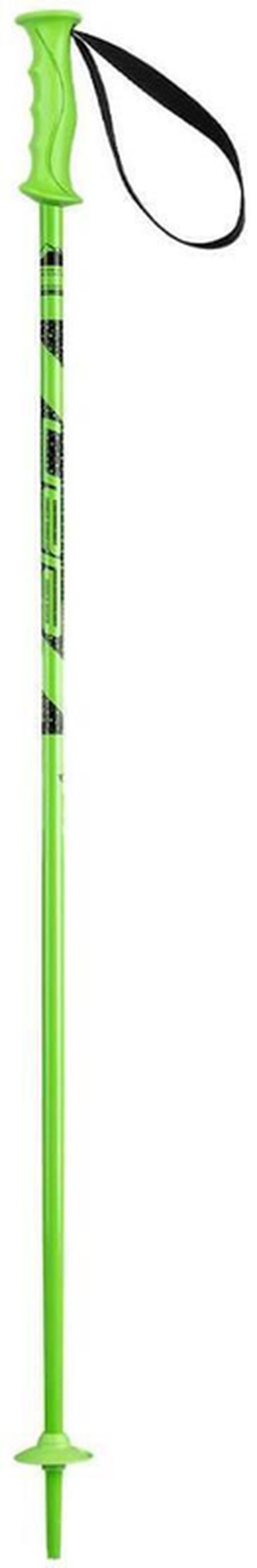 cumpără Bețe de schi Elan Rock Rod JR green 095 (CD813121) în Chișinău 