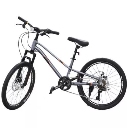 купить Велосипед New World AVITA PH Bicicleta pentru copii cu 2 roti, 22 inch, gri, 61516 в Кишинёве 