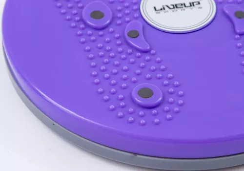 купить Гантель LiveUp 41444 Magnetic Disc LS3165B/VT в Кишинёве 