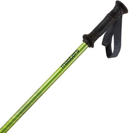 купить Треккинговые палки Masters RANGER Lime (01S1425) в Кишинёве 