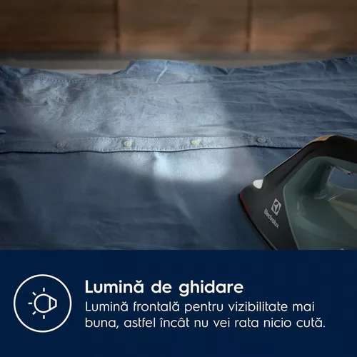 cumpără Generator de aburi pentru călcat Electrolux E8ST2-8OG în Chișinău 
