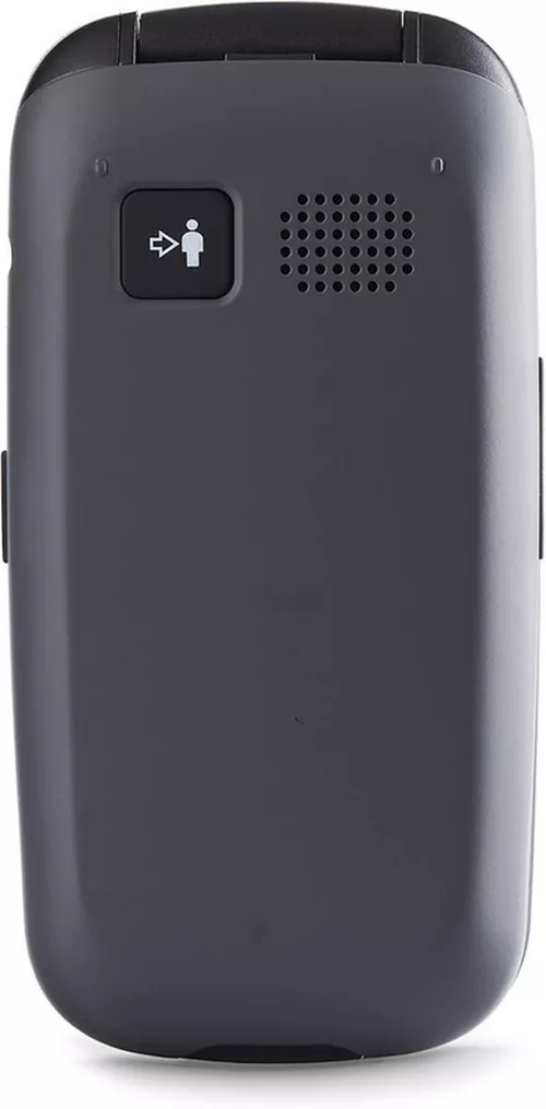 купить Телефон мобильный Panasonic KX-TU446EXG в Кишинёве 