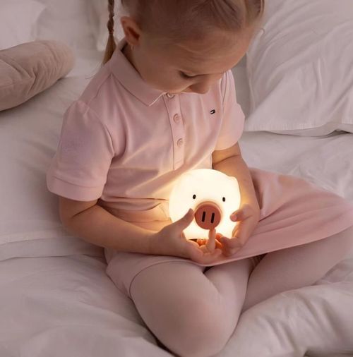 купить Ночной светильник Mary’s MW20726 LED Pig в Кишинёве 