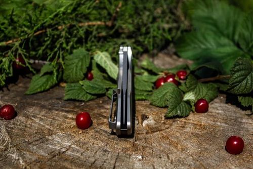 купить Нож походный Ruike P135-SF в Кишинёве 