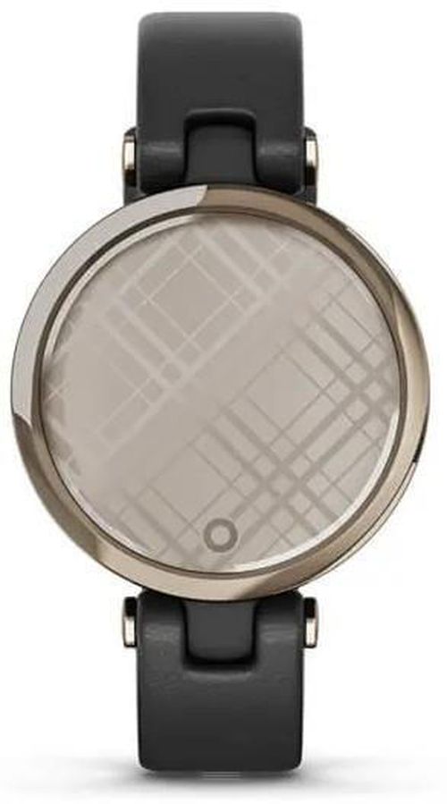 купить Смарт часы Garmin Lily™ (010-02384-B1) в Кишинёве 