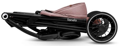купить Детская коляска Lionelo Alexia Pink Rose в Кишинёве 