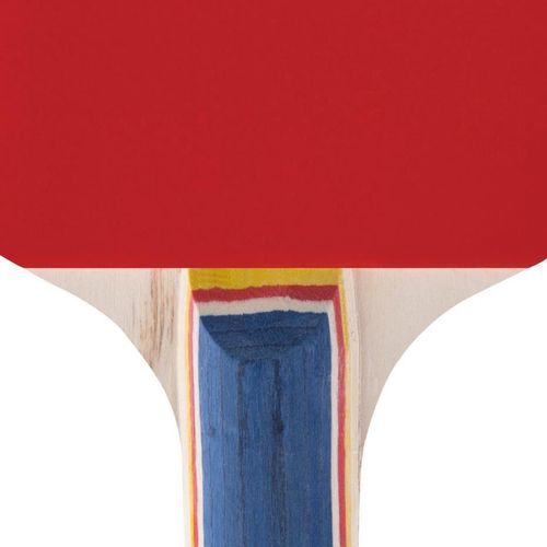 cumpără Articol de tenis Spokey Traning Pro (81919) ракетка în Chișinău 