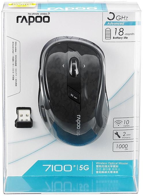 cumpără Mouse Rapoo 7100P Black în Chișinău 