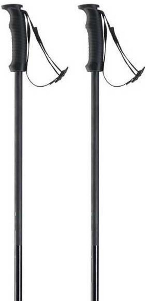 купить Лыжные палки Elan SPEED ROD black 125 в Кишинёве 