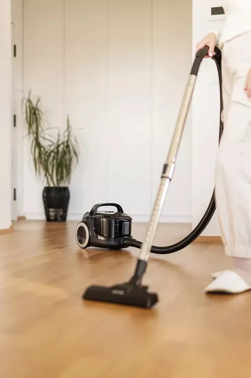 купить Пылесос с контейнером Gorenje VC1901G2ABK в Кишинёве 