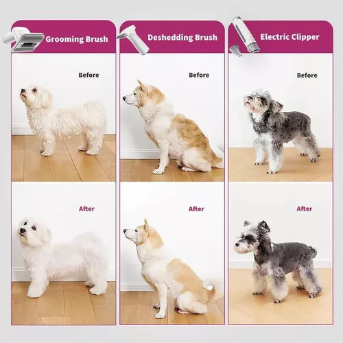 купить Товар для груминга Petkit Set Grooming 5 in 1 в Кишинёве 