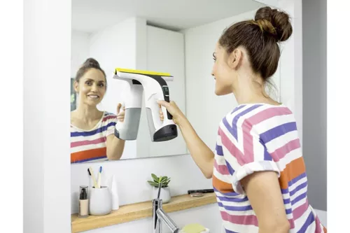 купить Стеклоочиститель Karcher WV 6 Plus (1.633-741.0) в Кишинёве 