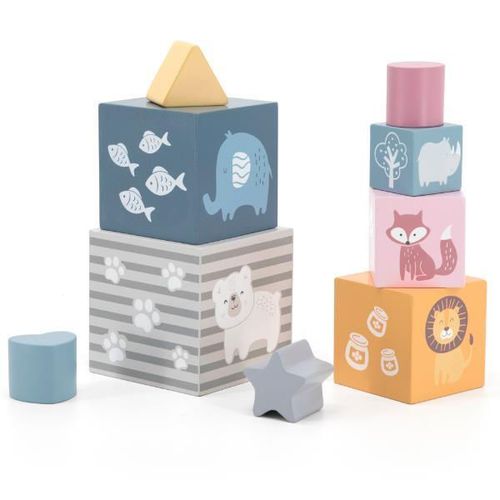 купить Головоломка Viga 44016 Piramidă-cuburi din lemn Sortăm și construim в Кишинёве 