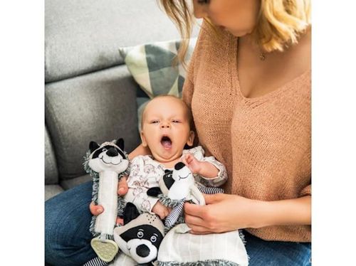 cumpără Jucărie de pluș BabyOno 7477 Енот Rocky în Chișinău 