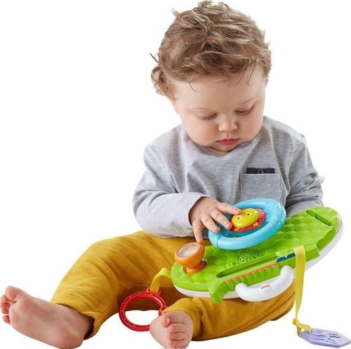 купить Музыкальная игрушка miscellaneous DYW53 Jucarie educativa Leul muzical в Кишинёве 