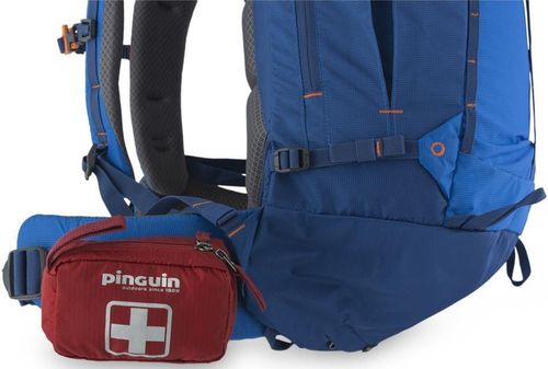 cumpără Trusă medicală Pinguin Trusa First Aid Kit S red în Chișinău 