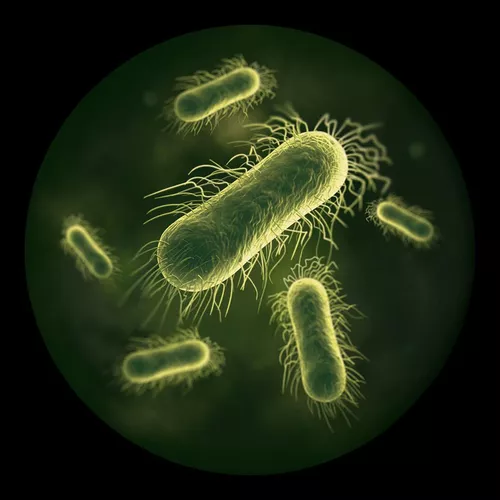 купить Пылесос беспроводной Dyson WR03 Clean+Wash Hygiene в Кишинёве 