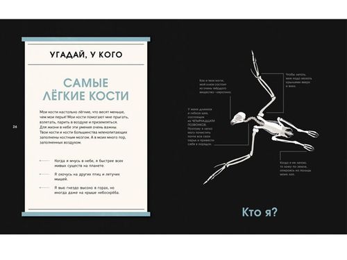 купить Удивительные кости. Десять животных-рекордсменов в Кишинёве 