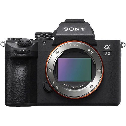 купить Фотоаппарат беззеркальный Sony ILCE7M3B в Кишинёве 