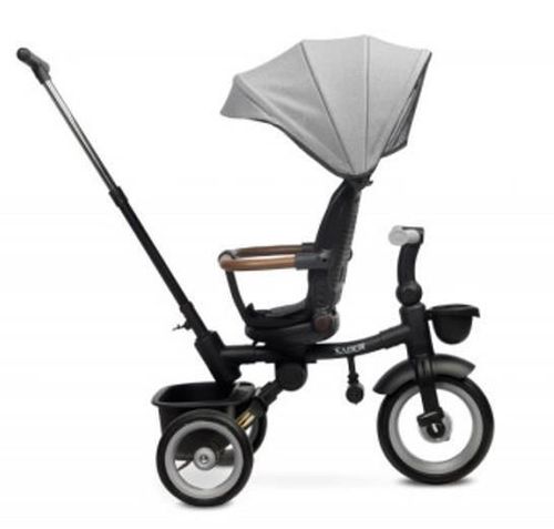 купить Велосипед-коляска Toyz 0365 Saber Grey в Кишинёве 