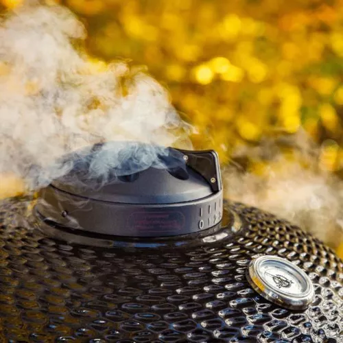 купить Мангал Pit Boss Gratar Kamado PBK24 negru (10603) в Кишинёве 
