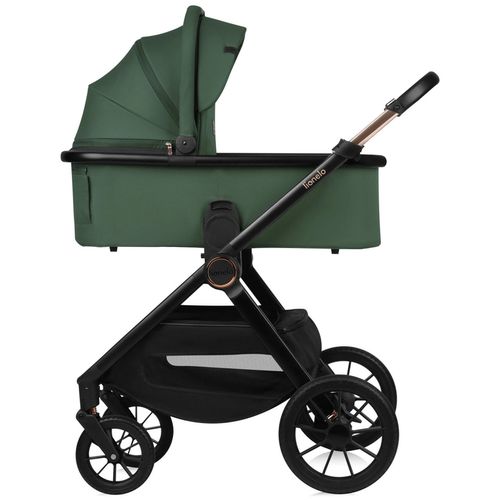 купить Детская коляска Lionelo Carucior 2in1 Layla Green Forest в Кишинёве 