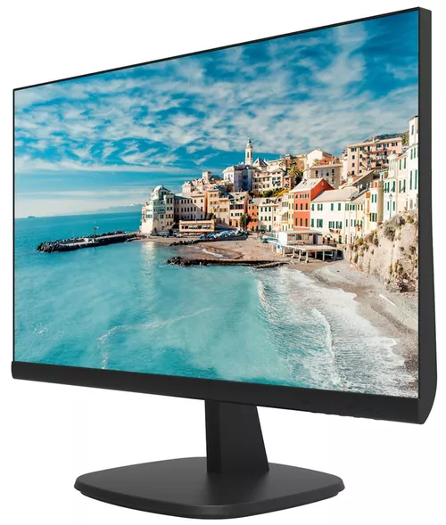 купить Монитор Hikvision DS-D5024FN в Кишинёве 