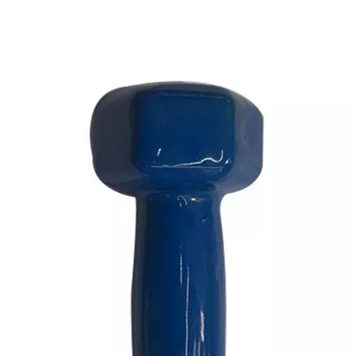 купить Гантель sport LXI7252 Ganteră pentru fitness,1 buc x 1,5 kg в Кишинёве 