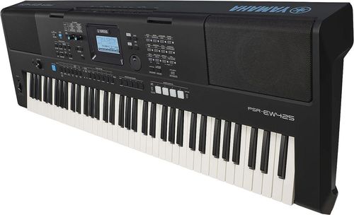 купить Цифровое пианино Yamaha PSR-EW425 (+ adaptor) в Кишинёве 
