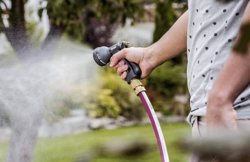 cumpără Pistol pentru stropit Rehau Pistol stropitor DELUXE (238007) în Chișinău 