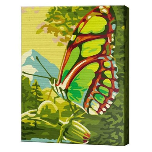 купить Картина по номерам Art Gallery CX3549 20x30cm Fluture minunat в Кишинёве 