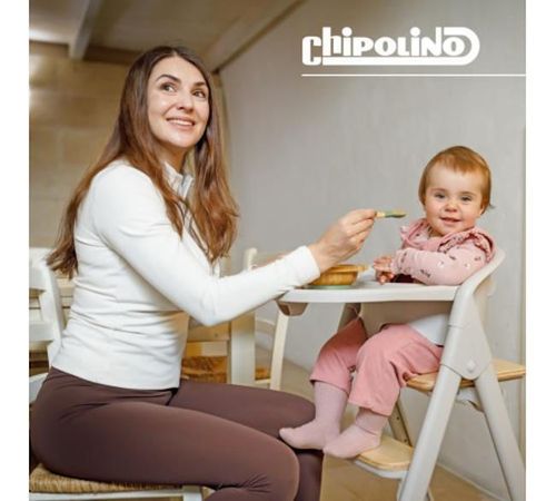 купить Стульчик для кормления Chipolino STHQU02602MA Стул 4in1 QUATRO matcha в Кишинёве 