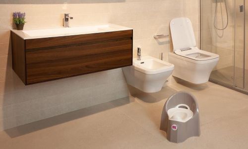 купить Детский горшок OK Baby 38912300 Pasha Gri в Кишинёве 