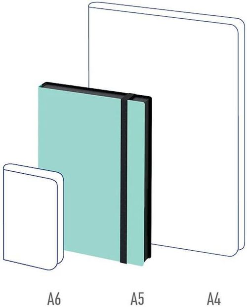 купить Блокнот Berlingo RL299190 Agenda nedatata Instinct A5, 136 foi, mentol в Кишинёве 