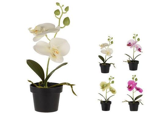 купить Декор Holland 48363 NVT Цветок искусственный Орхидея 25cm в горшке в Кишинёве 