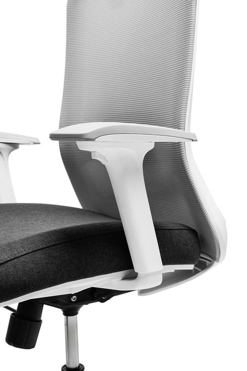 купить Офисное кресло CUSTÓ Roma, gri в Кишинёве 