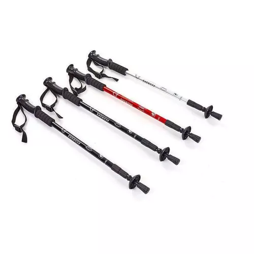 cumpără Bețe pentru trekking Arena палка треккинг 765130 în Chișinău 