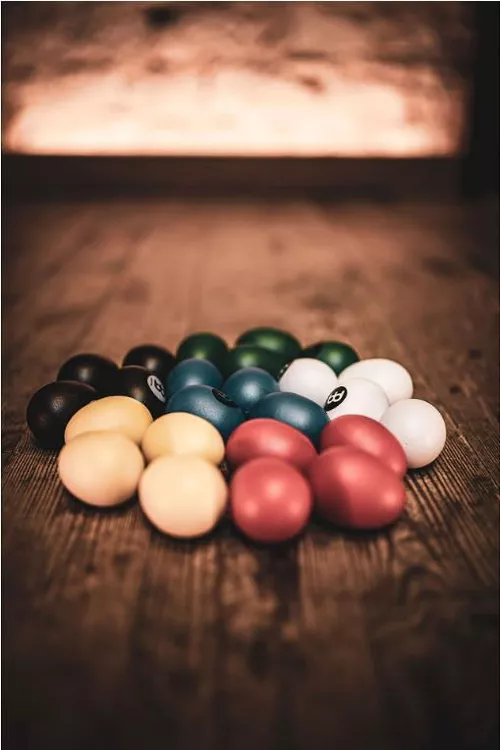 купить Ударная установка MEINL EGG SHAKER CS MULTI-COLOR ES-MC Shaker в Кишинёве 