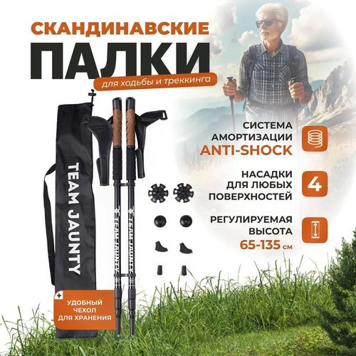 cumpără Bețe pentru trekking miscellaneous Team Jaunty 6-3JNS Black în Chișinău 