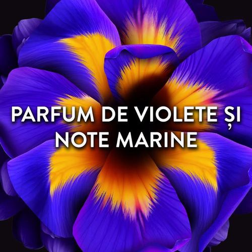 cumpără Balsam de rufe Lenor 1125 BEADS VIOLET FRESH 270G în Chișinău 