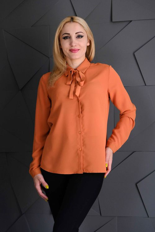 Блузка Simona ID 9704 