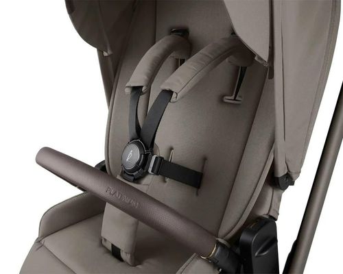 cumpără Сărucior pentru copii Kikka Boo 31001020170 Carucior 2in1 Goya Platinum Mocca în Chișinău 