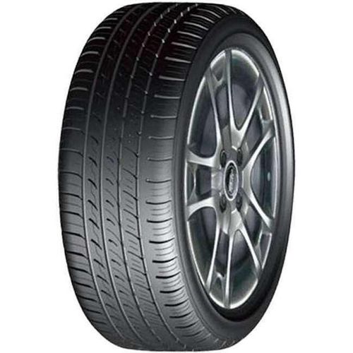 cumpără Anvelopă Rapid 225/55 R17 XL P609 101W în Chișinău 